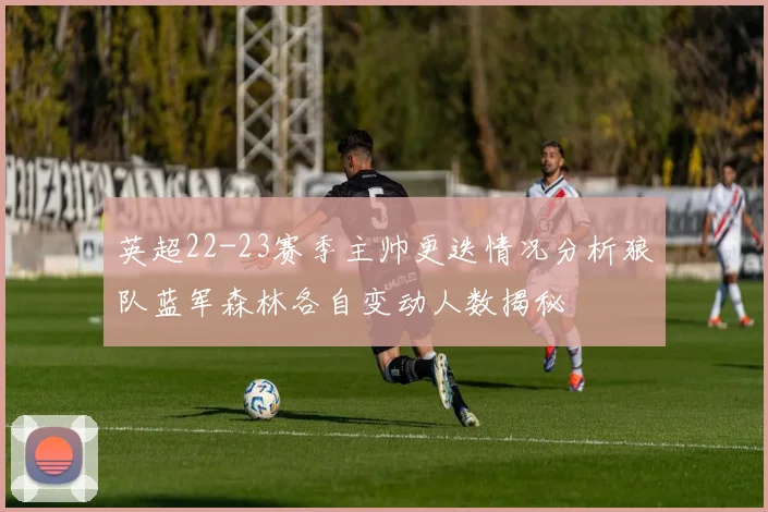 英超22-23赛季主帅更迭情况分析狼队蓝军森林各自变动人数揭秘