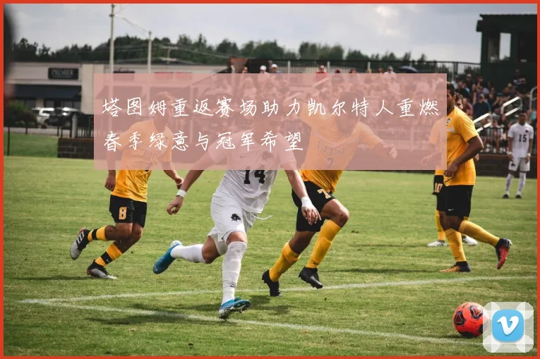 塔图姆重返赛场助力凯尔特人重燃春季绿意与冠军希望