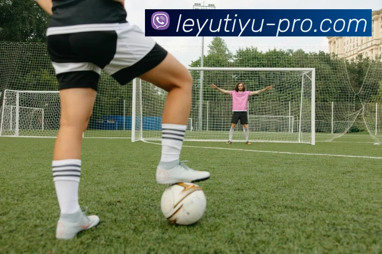 乐鱼体育服务体系